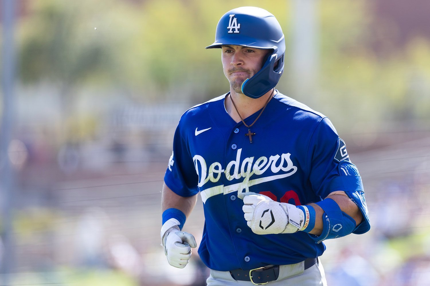 More information about "Top Minor-League Postseason Hitters Of The Week"